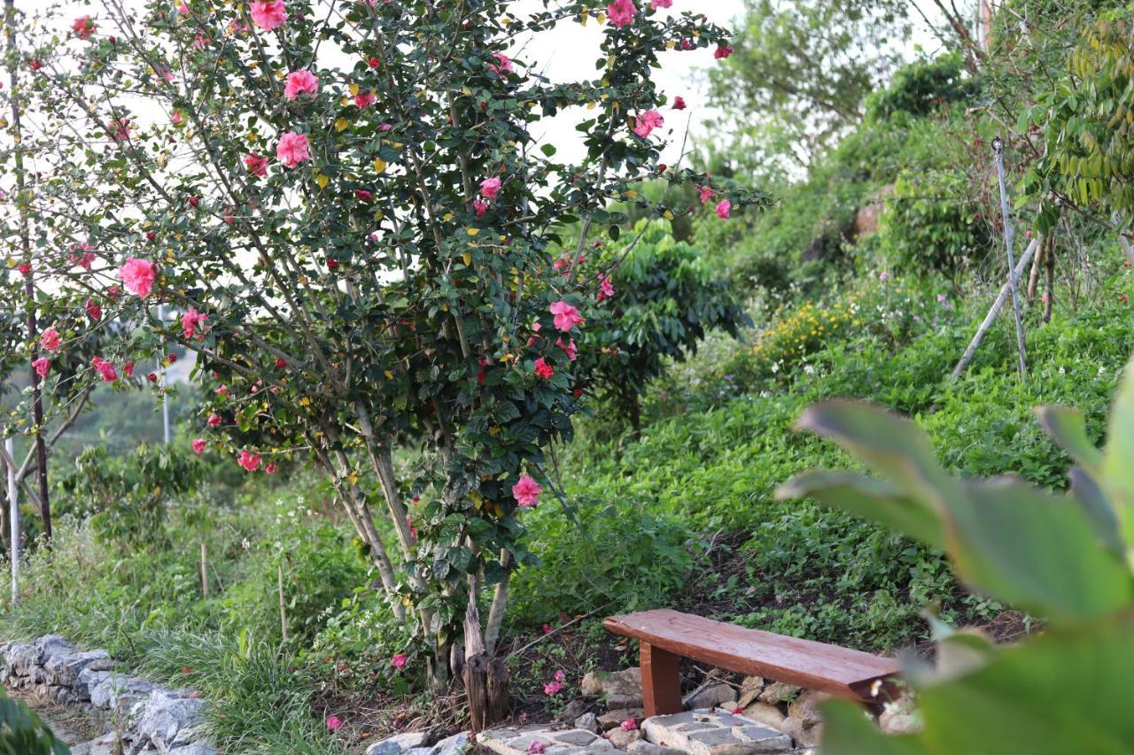 Moc Chau Peachy Garden Apartment Exterior photo